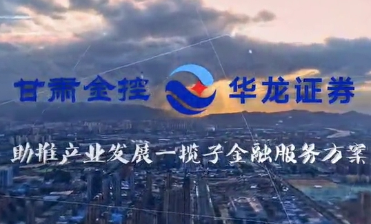多米在线注册助推产业发展一揽子金融服务方案汇报片