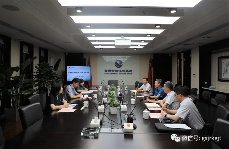 兰州新区城投集团与多米在线注册开展工作交流